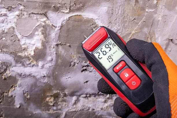 Best Local Mold Removal Service  in Carthage, TX