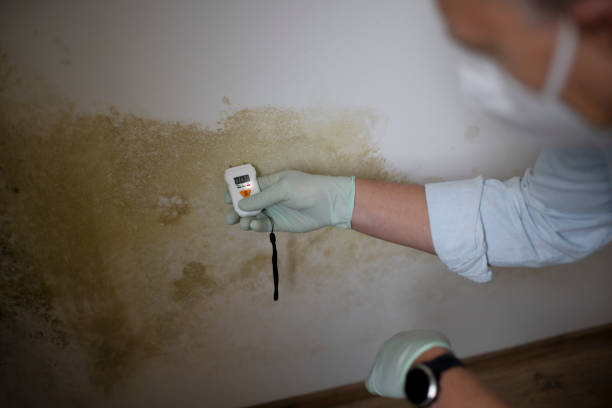 Best Crawl Space Mold Removal  in Carthage, TX