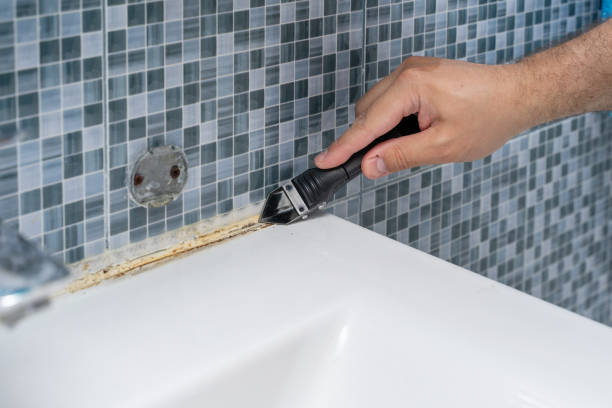 Best Local Mold Removal Service  in Carthage, TX