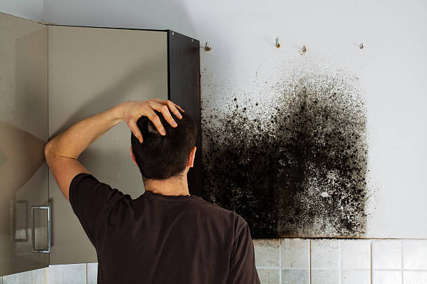 Best Mold Inspection  in Carthage, TX